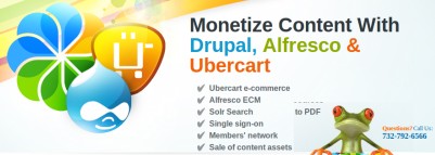 Monetize Content with Drupal
